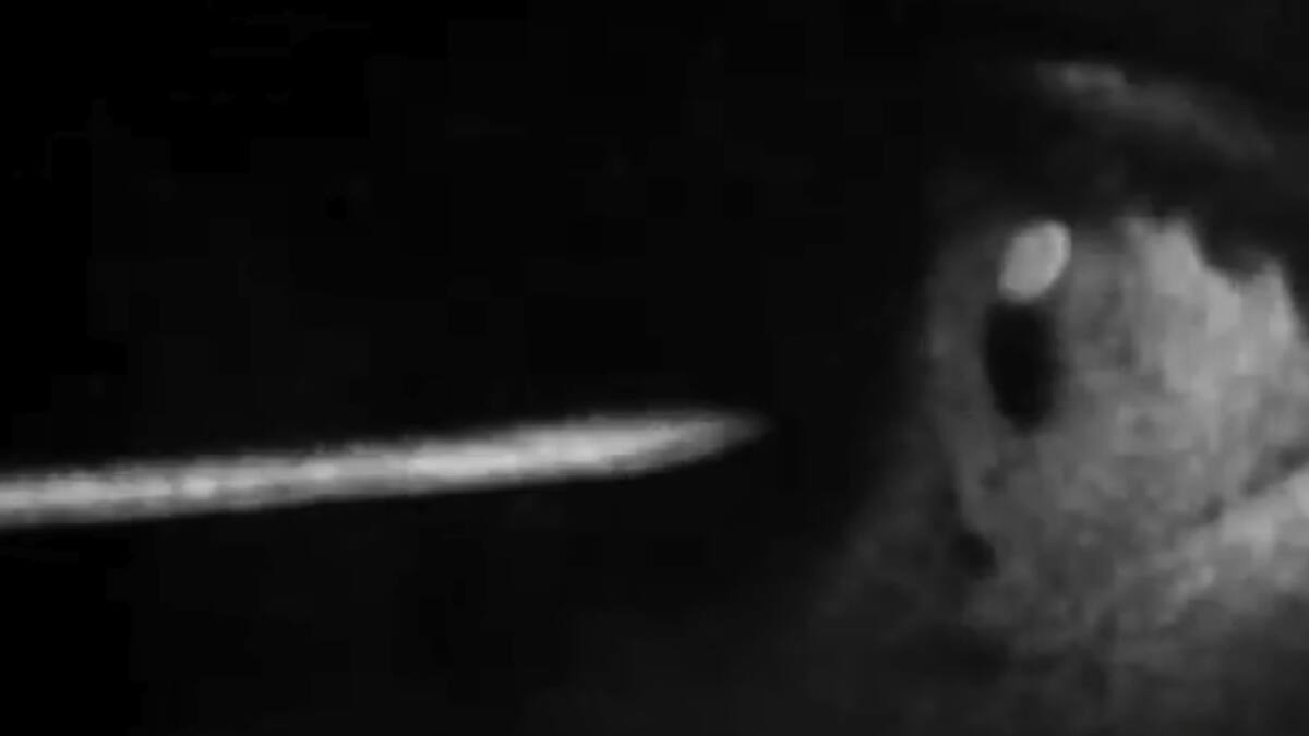 Sólo la visión del cineasta se ajustaría al terror de la saga