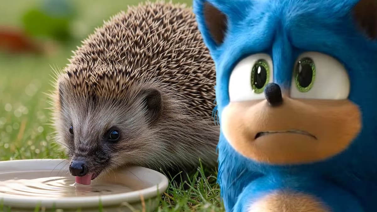 Sonic pintan erizo azul