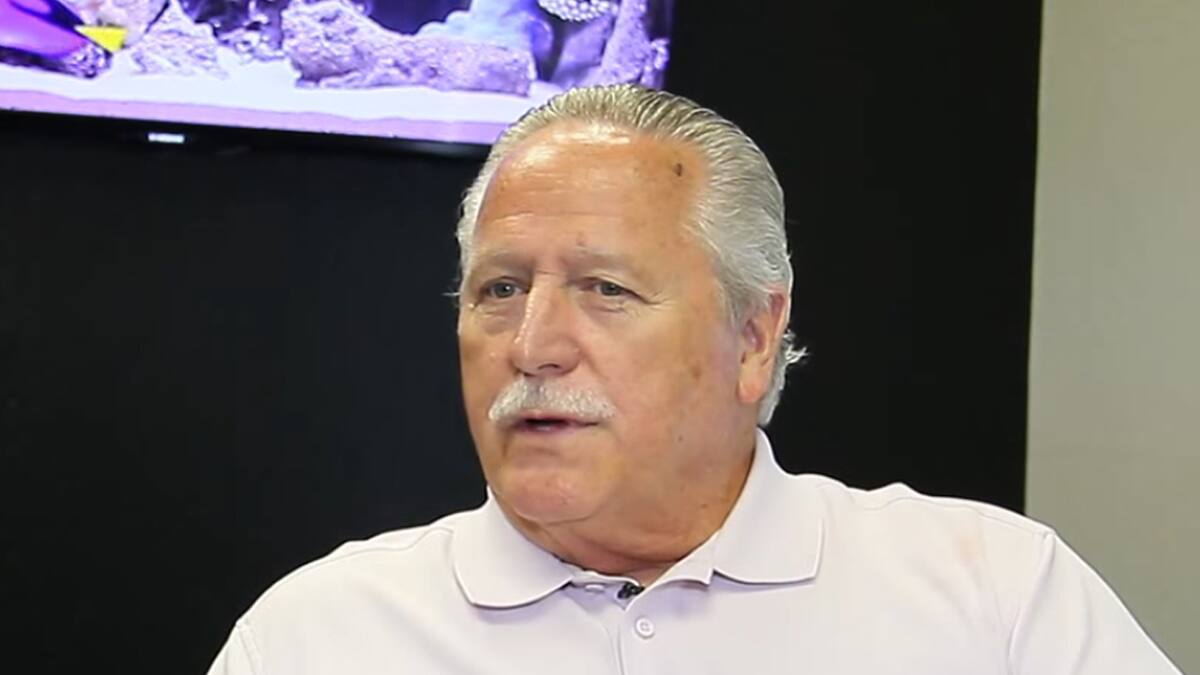 Stone también fue director general de SEGA Enterprises