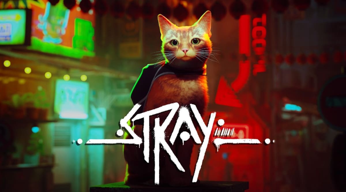 Stray.jpg