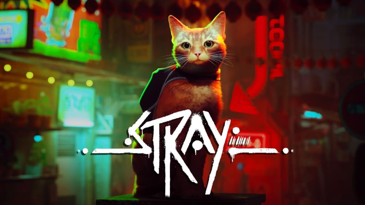 Stray.jpg