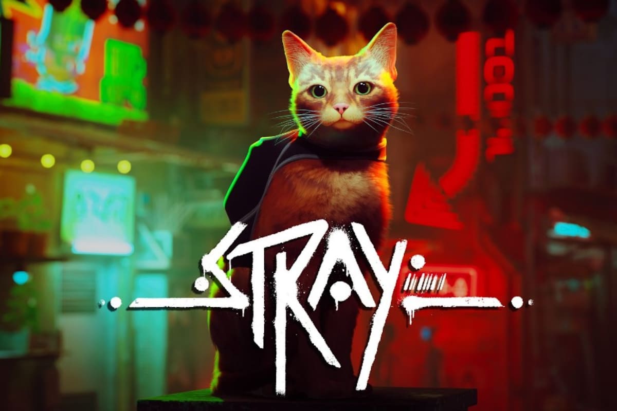 La espera terminó: jugadores de Stray ya pueden dar el salto a Nintendo Switch 2 sin costo