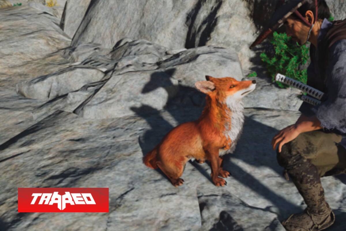 8 millones de zorros han sido domesticados y 14 millones de Haikus han sido escritos en Ghost of Tsushima