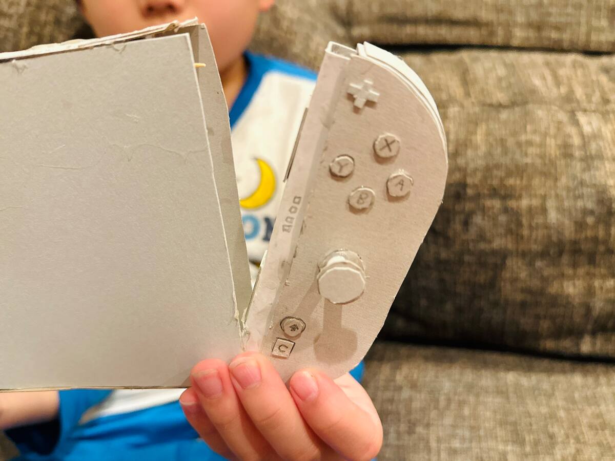 Switch-2-de-carton-1.jpg