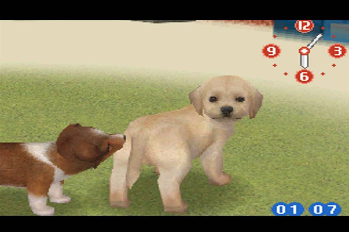RUMOR: Nintendogs llegará a dispositivos móviles muy pronto