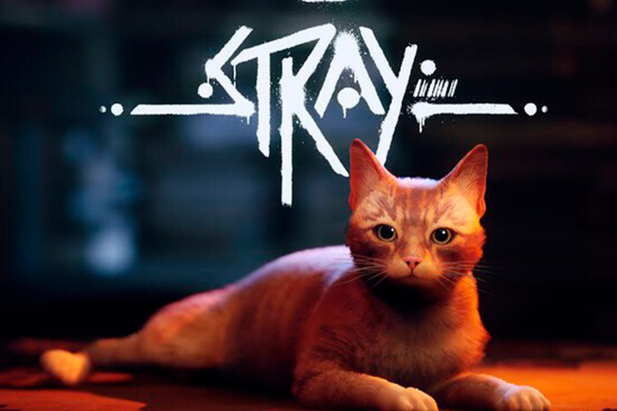 This is how cats reacted to the game Stray