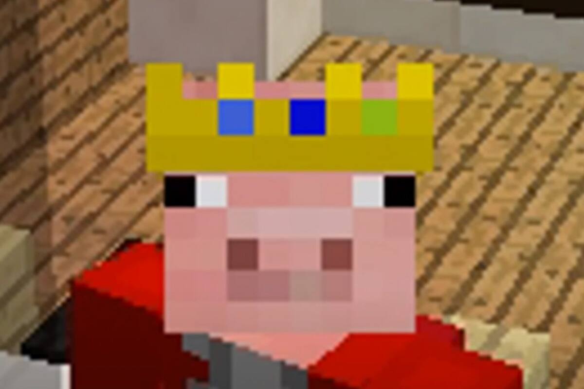 Minecraft YouTuber Technoblade has passed away