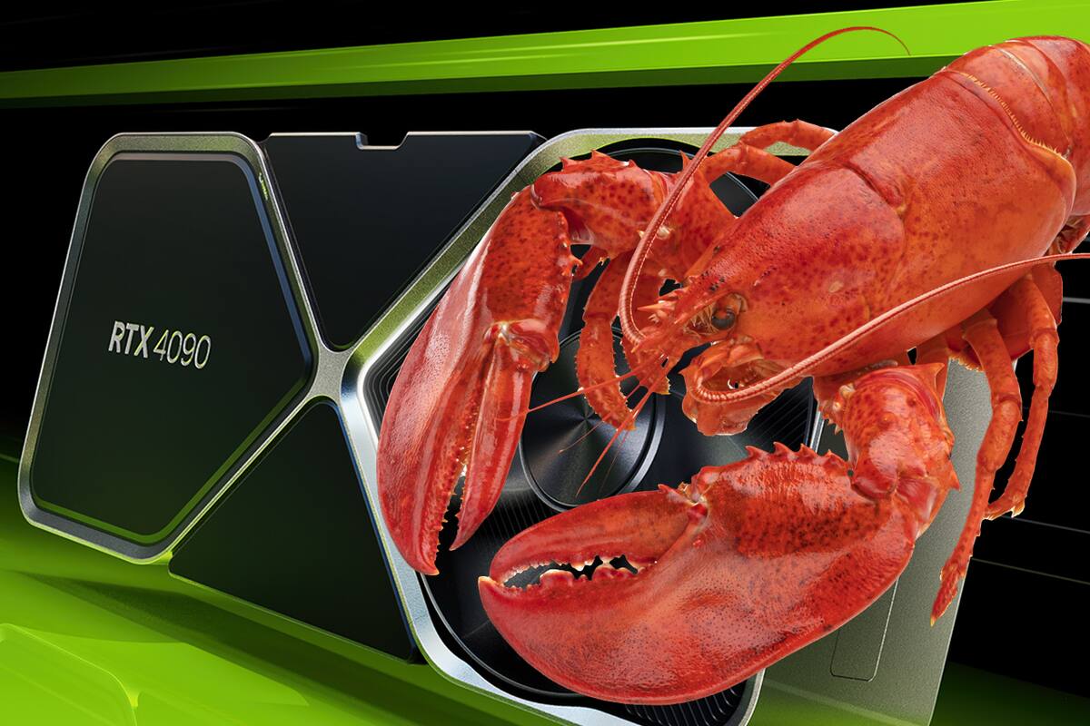 These two guys will go to jail after attempting to smuggle graphic cards and living lobsters