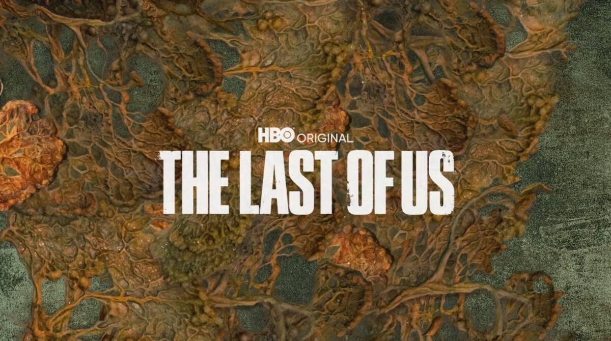 The-Last-of-Us-HBO.jpg