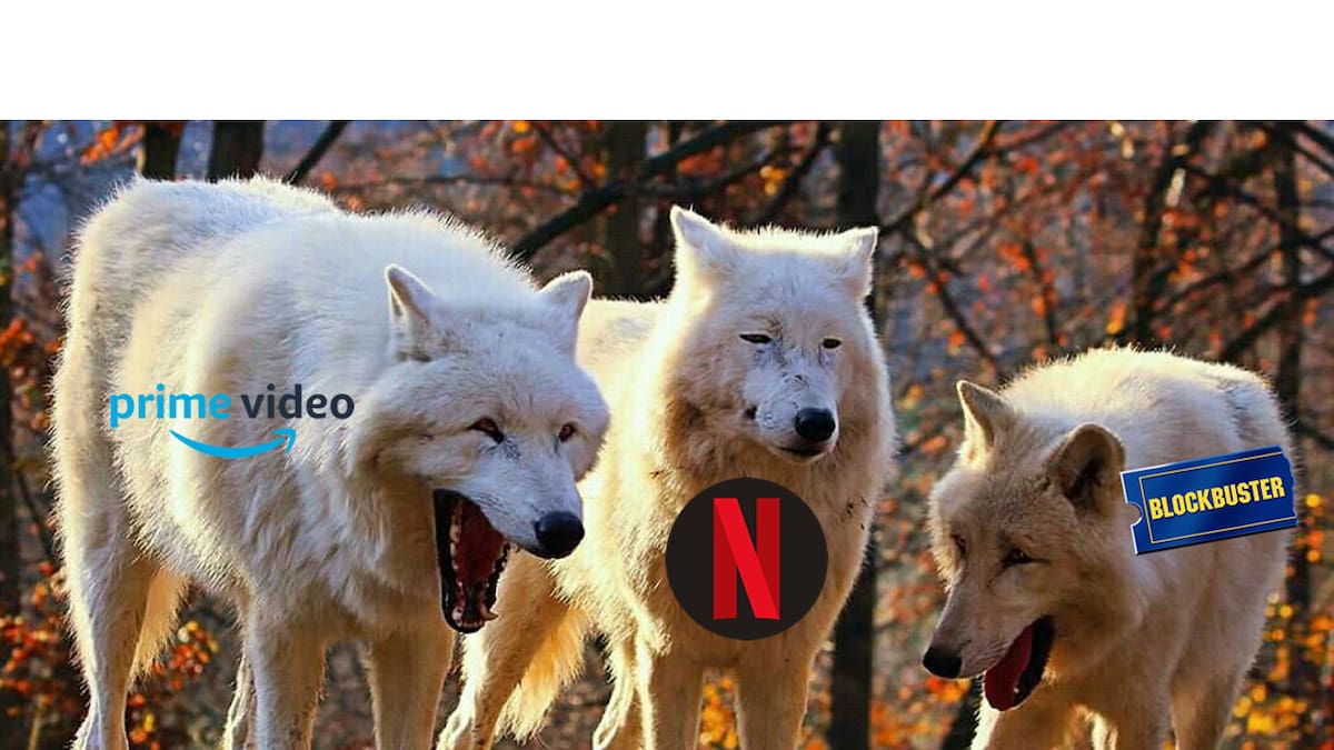 The streaming platform changed its policies and nobody is happy.