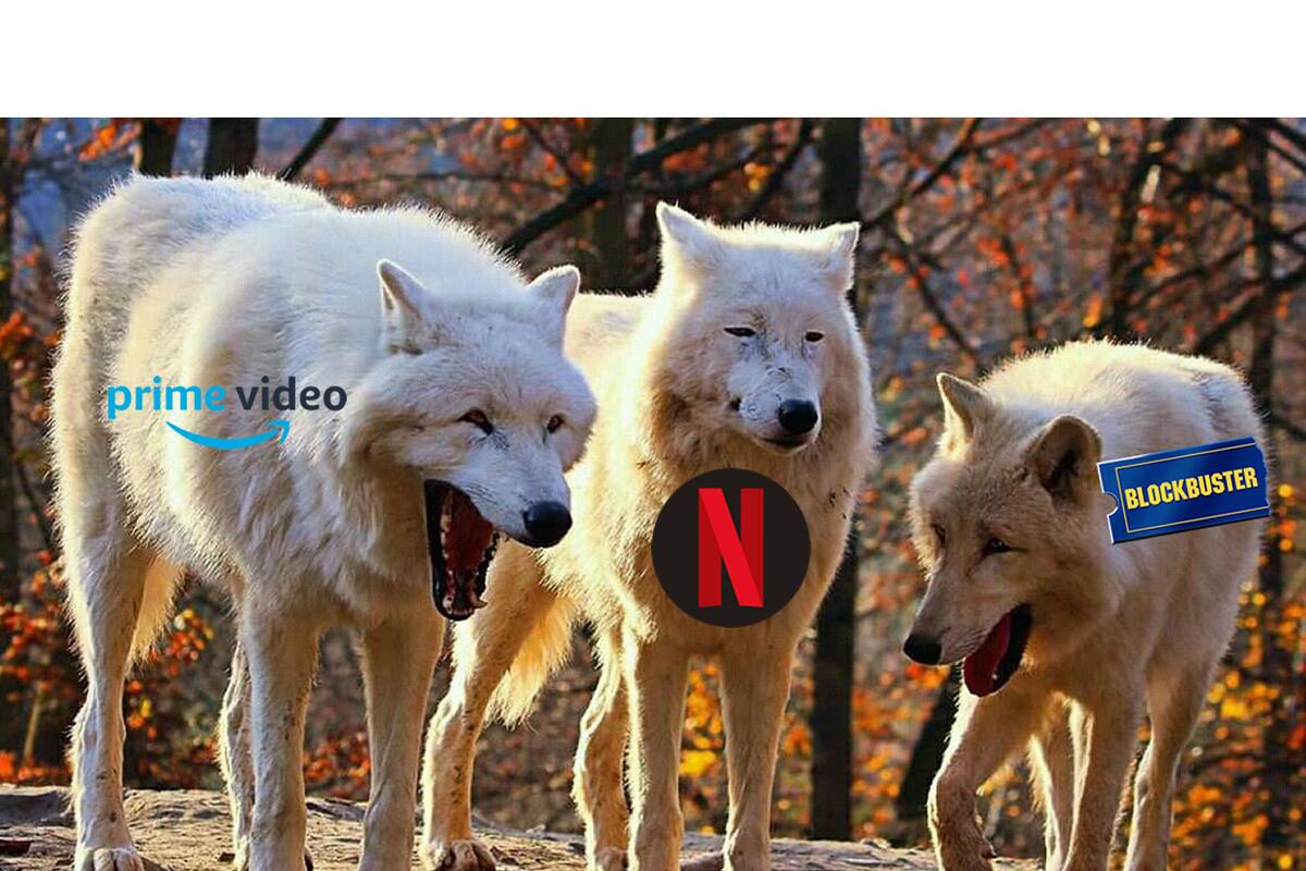 Amazon and Blockbuster mock Netflix; criticize charging for shared accounts