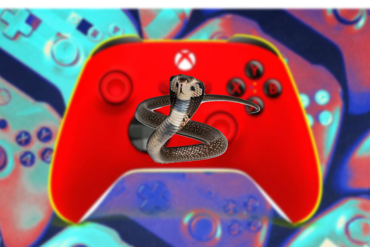 Player ordered an Xbox controller from an online store and received a dangerous cobra