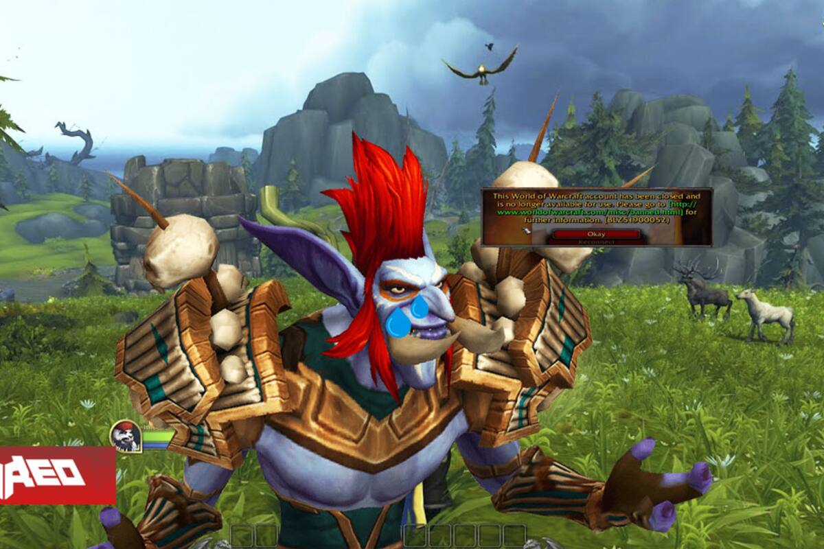 Blizzard banea a jugador "que arruinó el modo hardcore" de World of Warcraft: saboteó dos veces una guild provocando la muerte permanente de 35 jugadores
