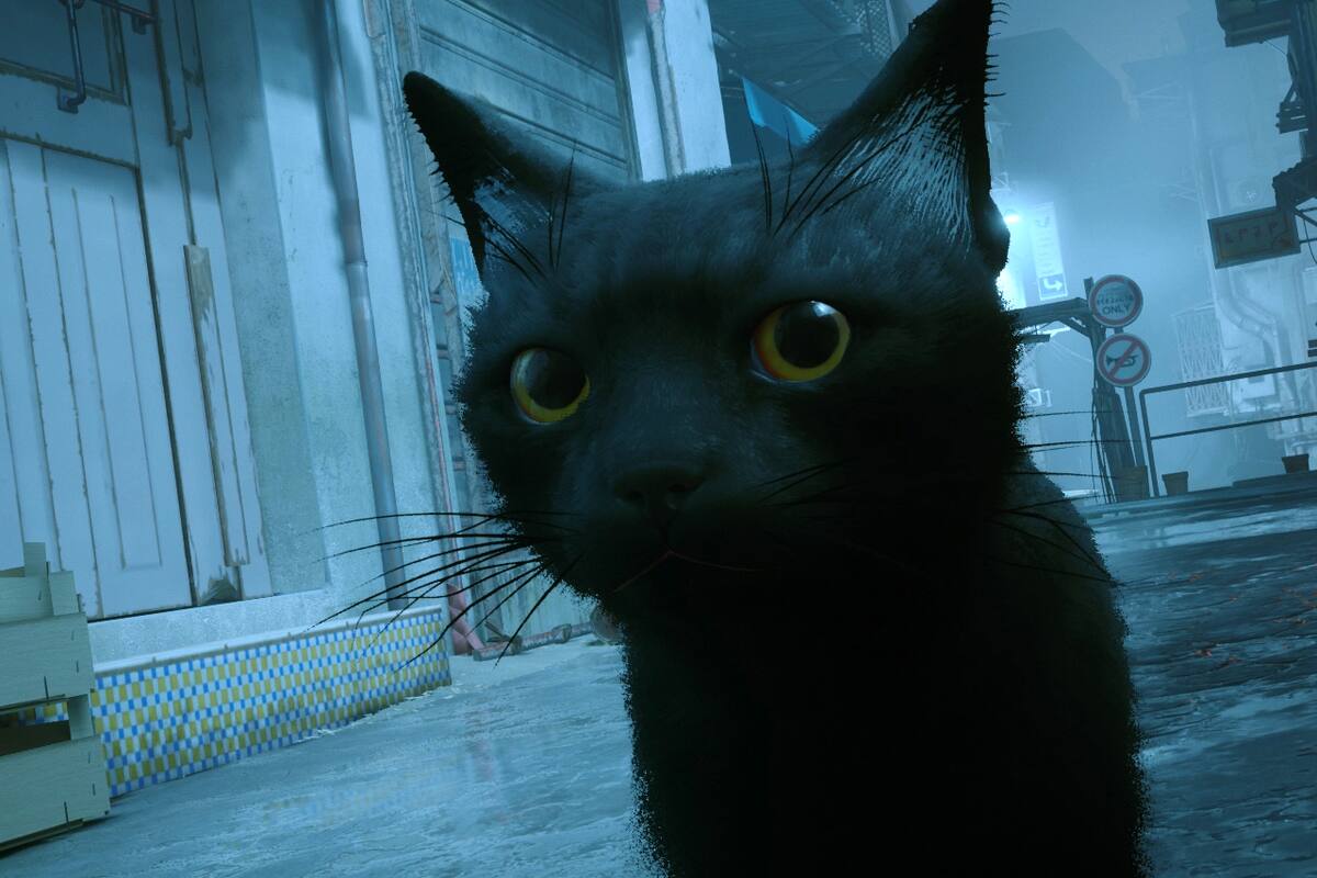 Este modder pondrá a tu gatito en Stray, pero tendrás que pagarle