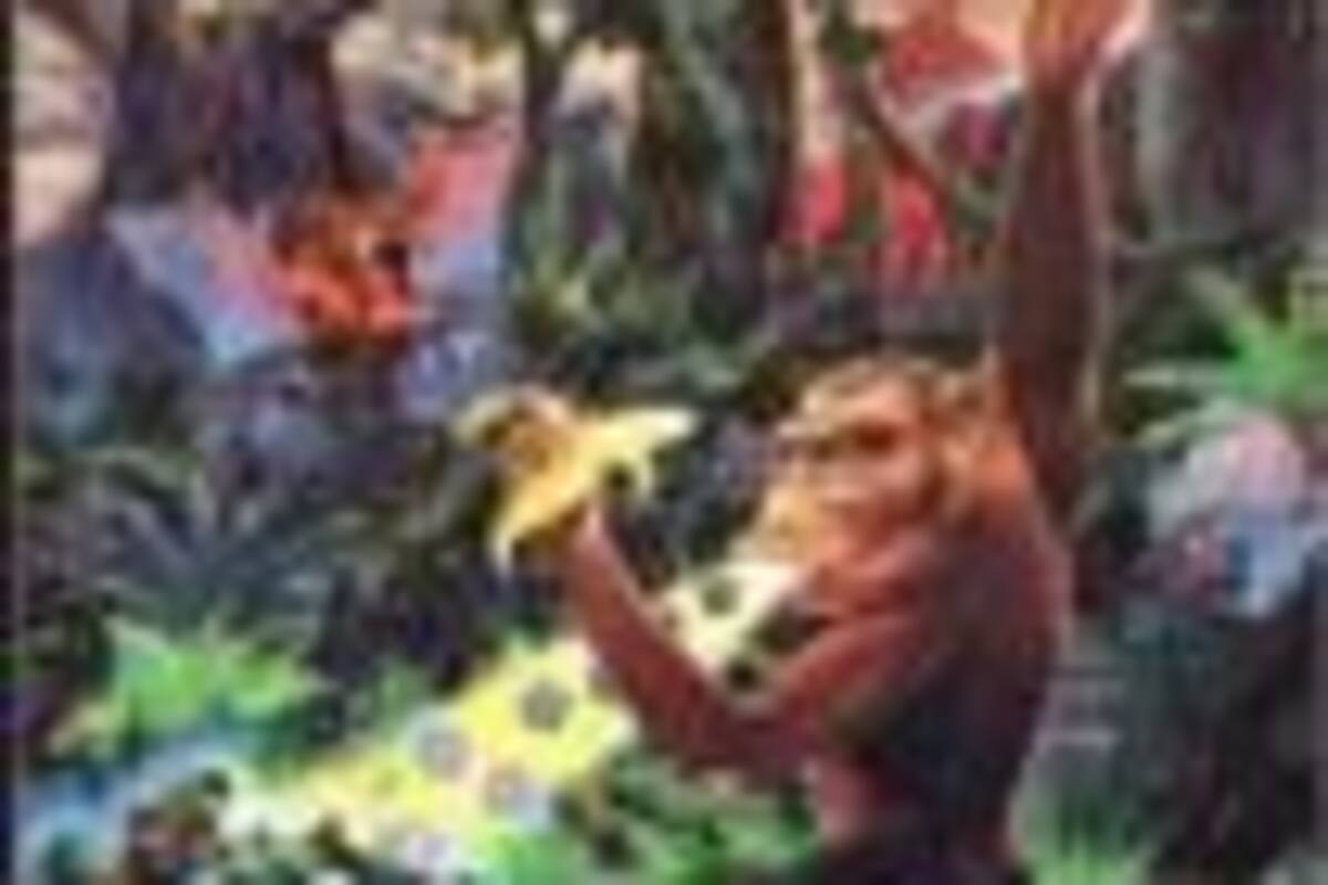 Toki: Going Ape Spit