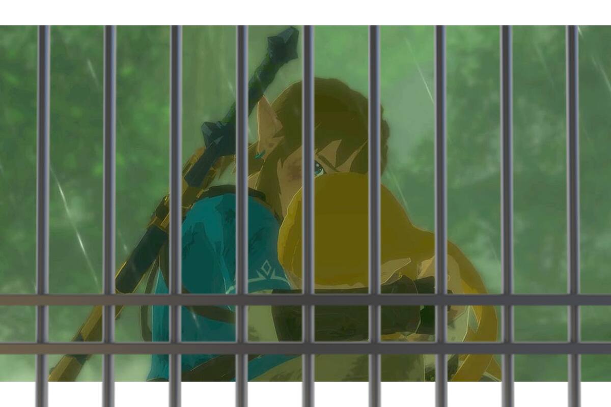 Fan of Zelda will spend months in prison for walking around with a replica of the Master Sword