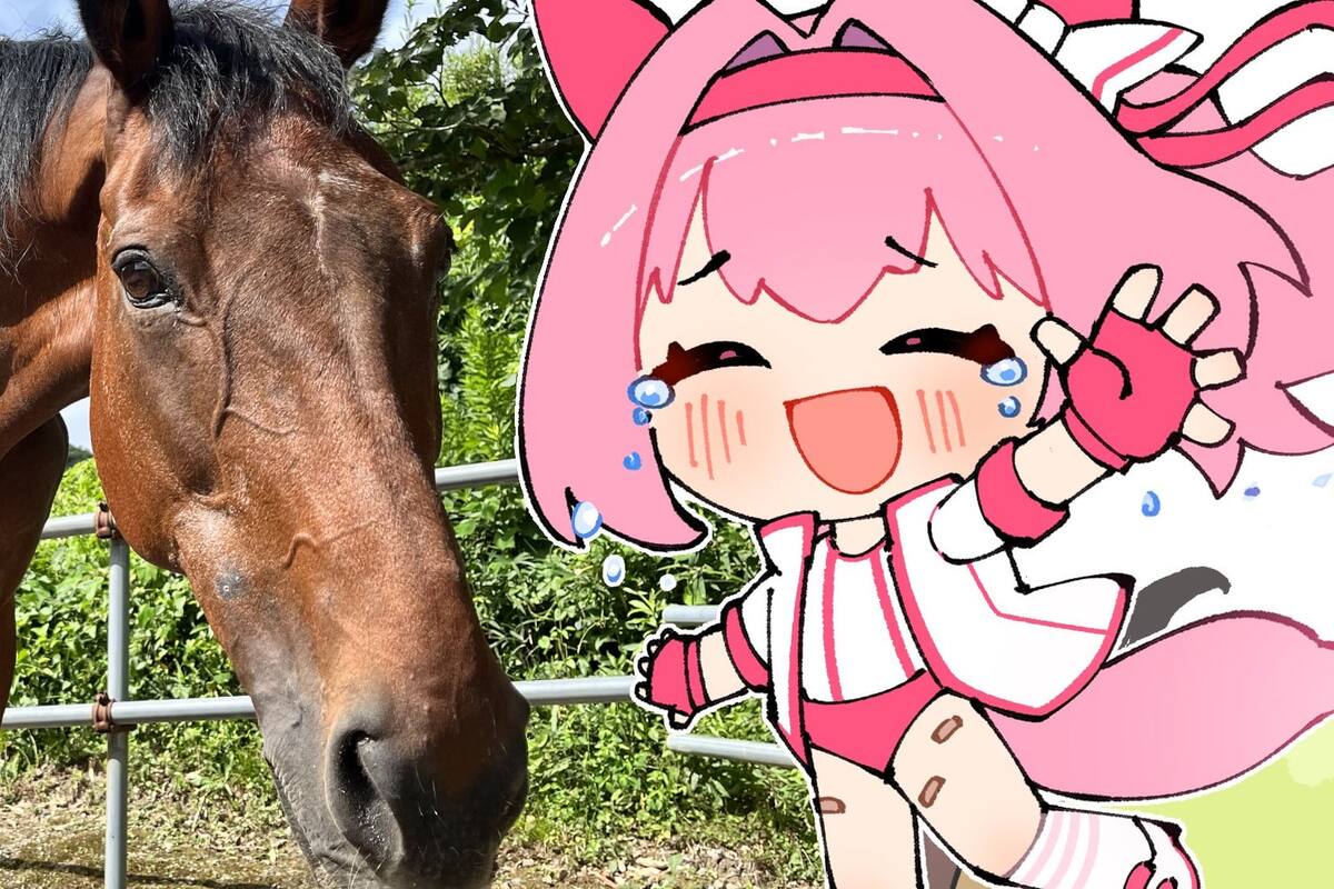 Muere popular yegua de carreras que sirvió de inspiración para Haru Urara de Umamusume: Pretty Derby