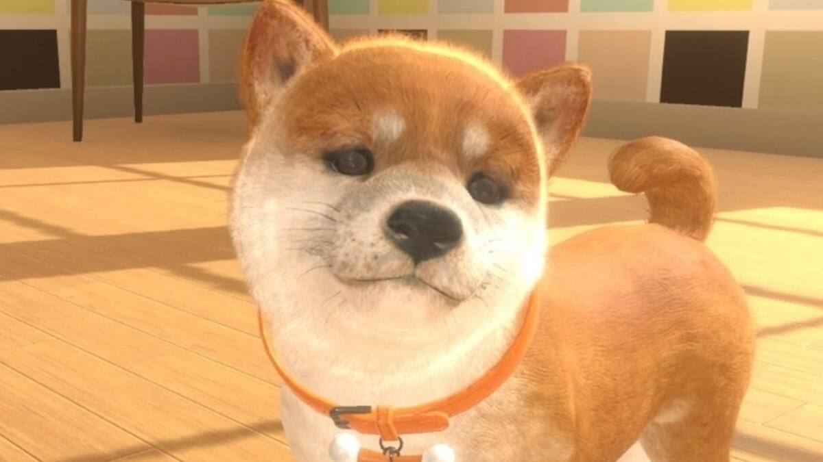 Un bondadoso usuario rescató a los tiernos cachorros y espera encontrar a su dueño