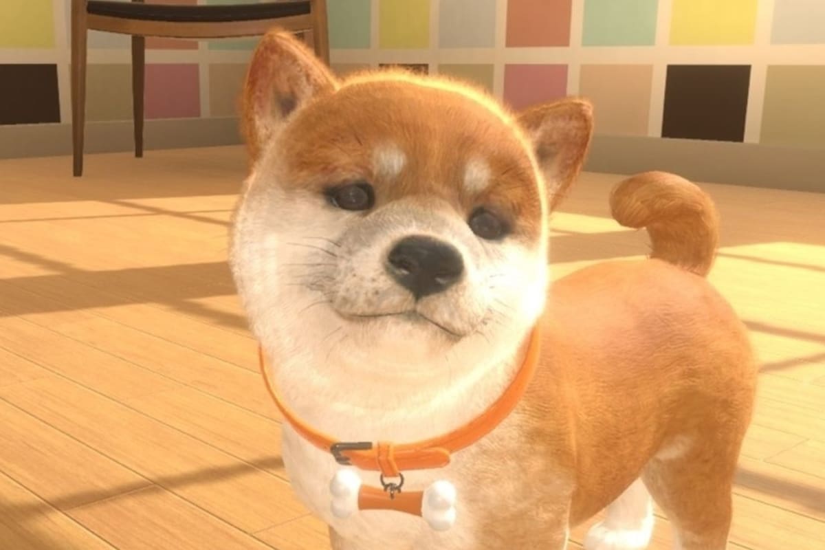 Historia de perritos abandonados en Nintendogs se vuelve viral