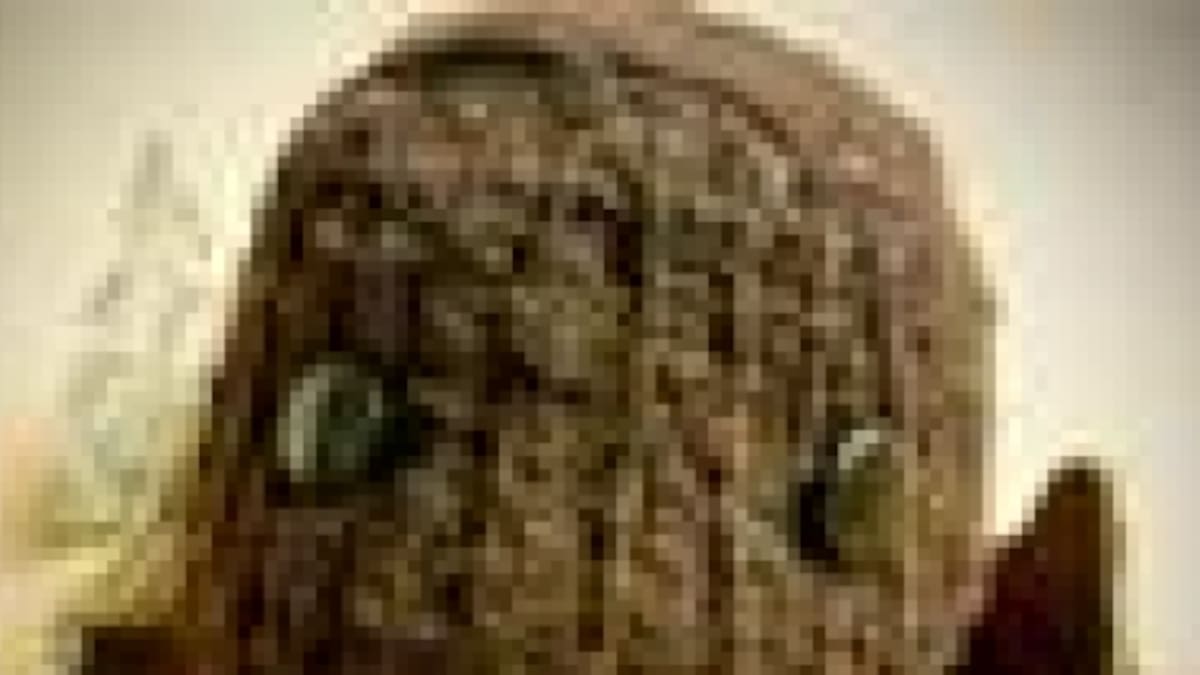 Un juego para PSN, un demo de LBP 2 y más