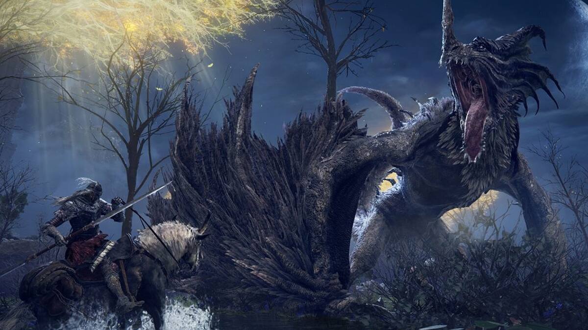 Un sector de la comunidad cree que este elemento del juego de FromSoftware es muy vago