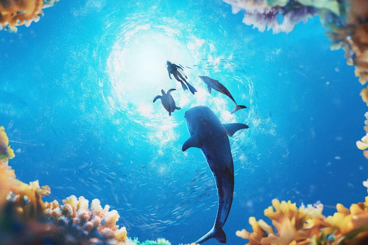 Endless Ocean Luminous