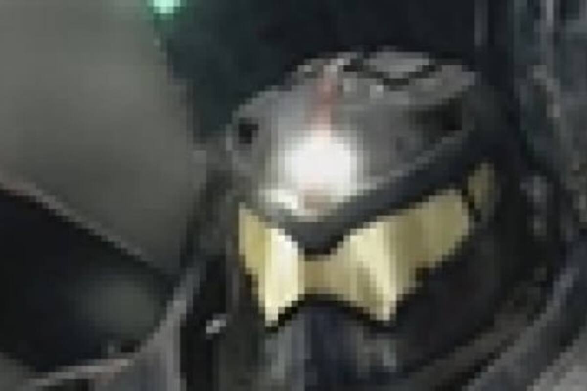 Pacific Rim: The Video Game