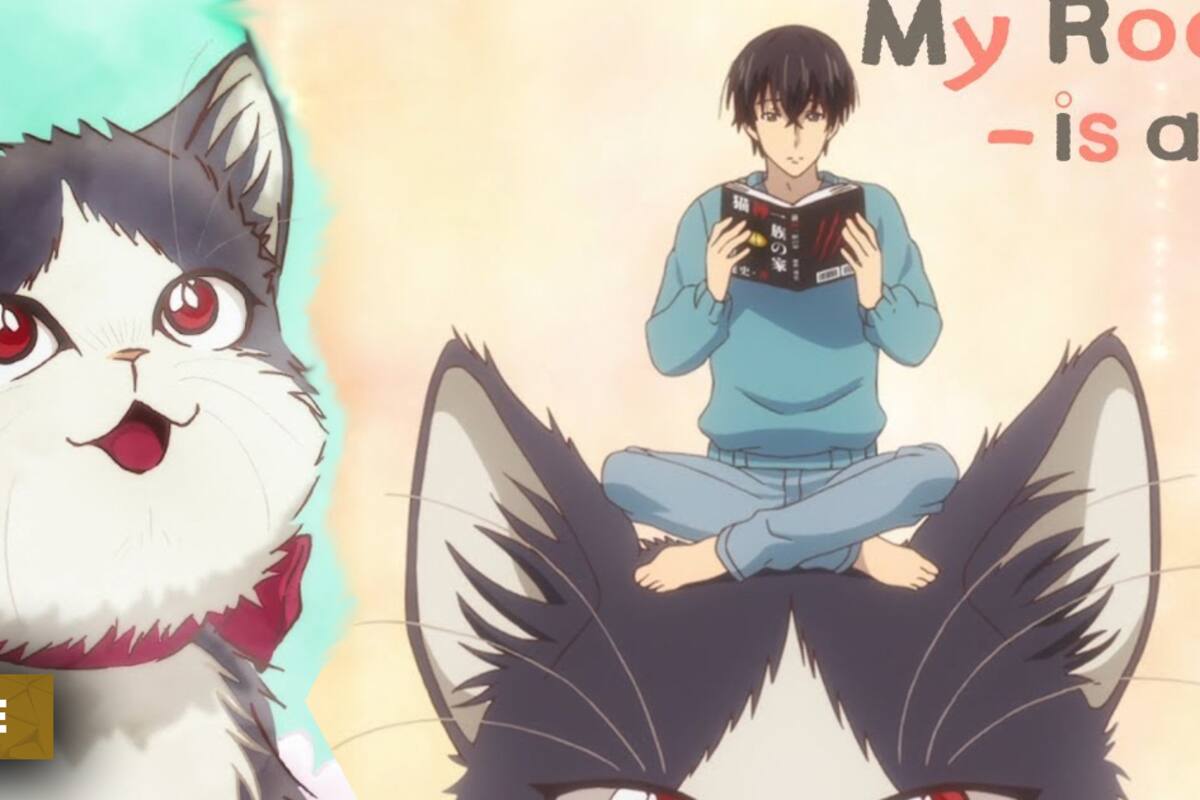 Animes subarashiis que deberías ver: My roomate is a cat