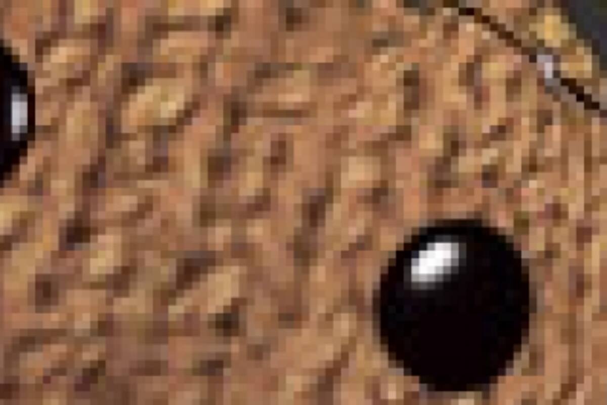 LittleBigPlanet 2