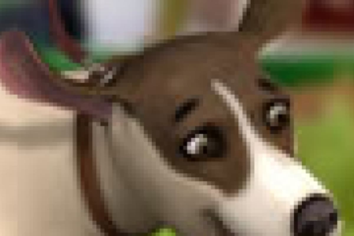 E3 2011: The Sims 3: Pets