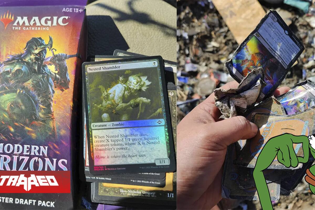 Encuentra y deja abandonadas en vertedero más de 100 mil dólares en cartas MAGIC, al saber su valor vuelve por ellas pero ya era demasiado tarde