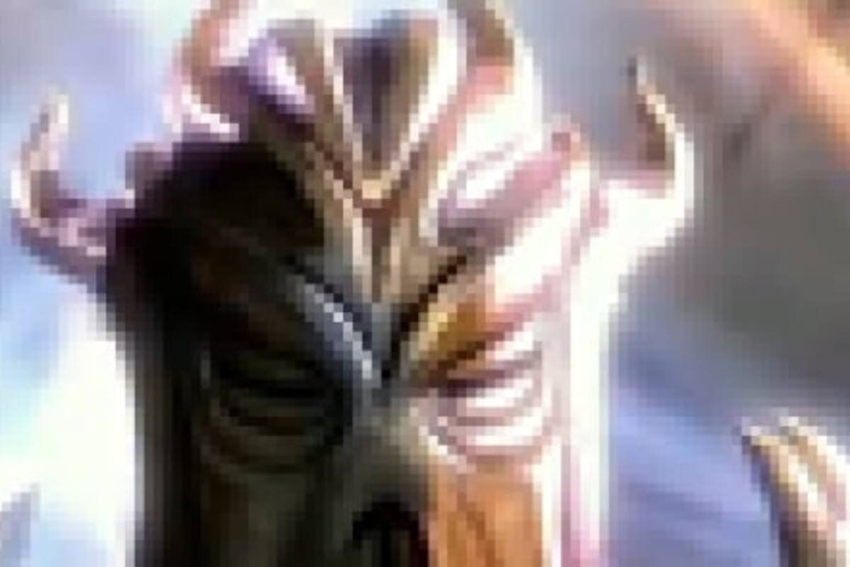 The Elder Scrolls V: Skyrim ? Dragonborn