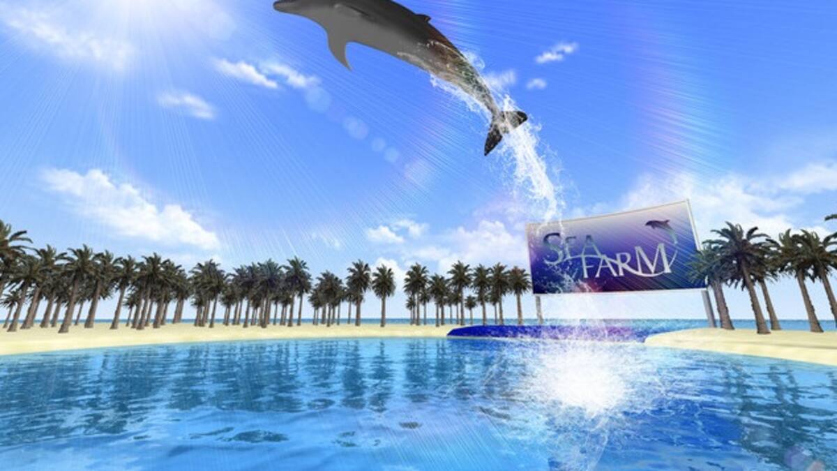 Vuélvete entrenador de delfines en este nuevo juego para Wii