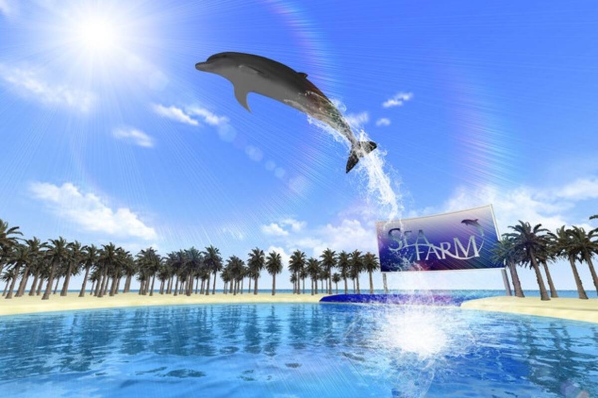 Nintendo Dolphin