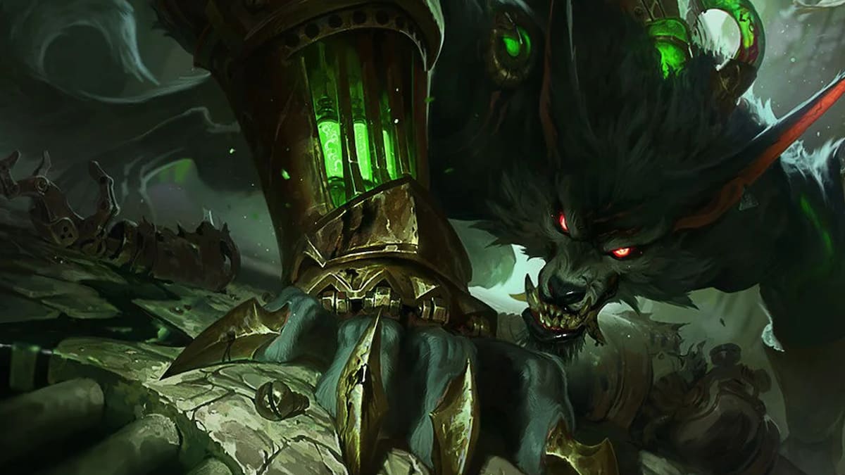 Warwick, ¡yo te elijo!