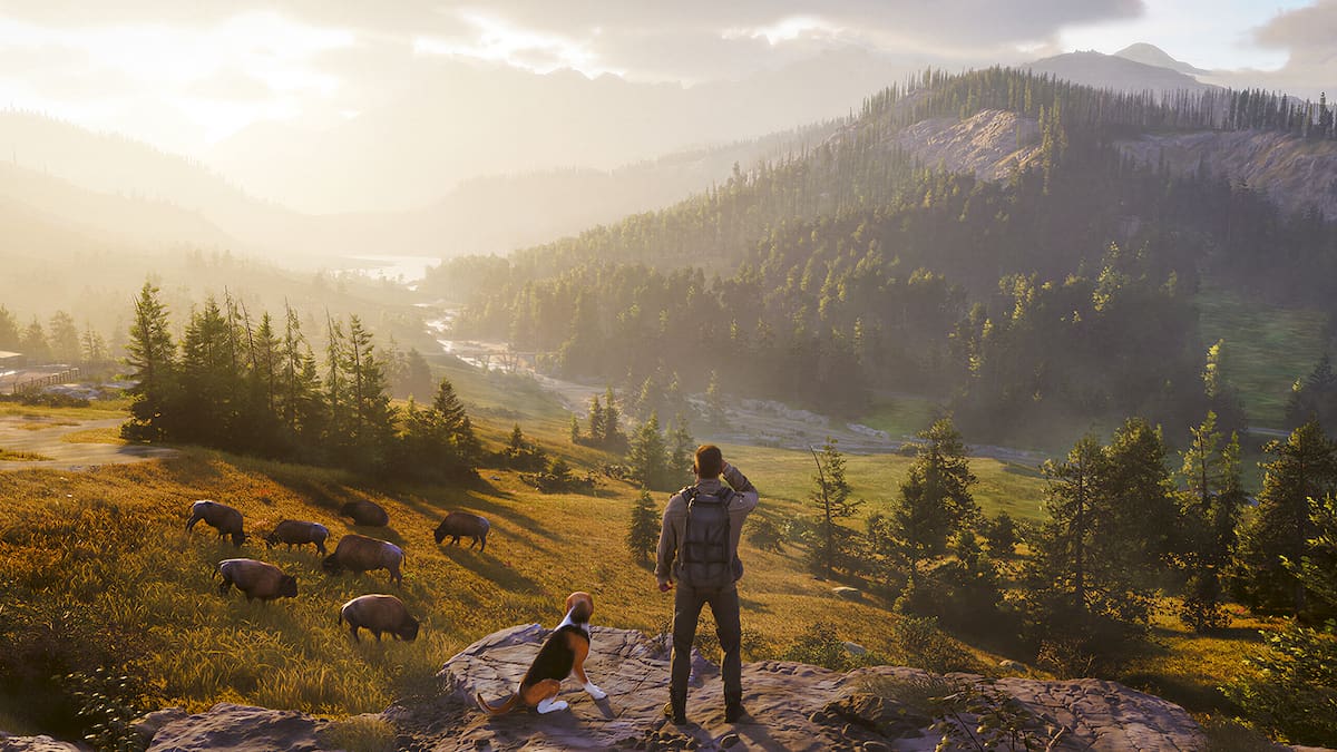 Way of the Hunter 2