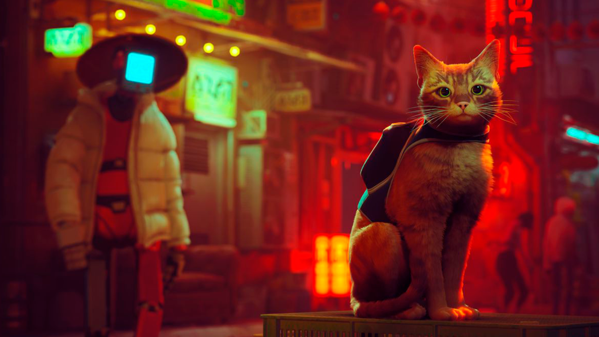 We tell you all the details about the arrival of the cute kitten on PS5