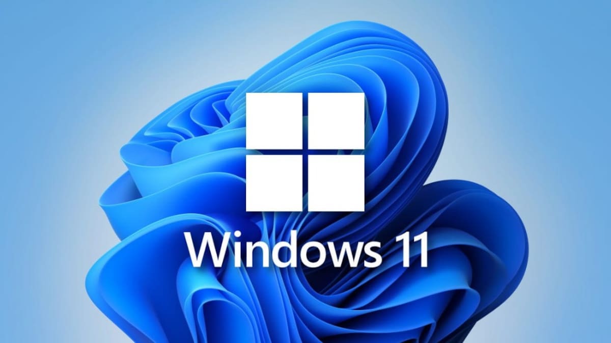 Windows.jpg