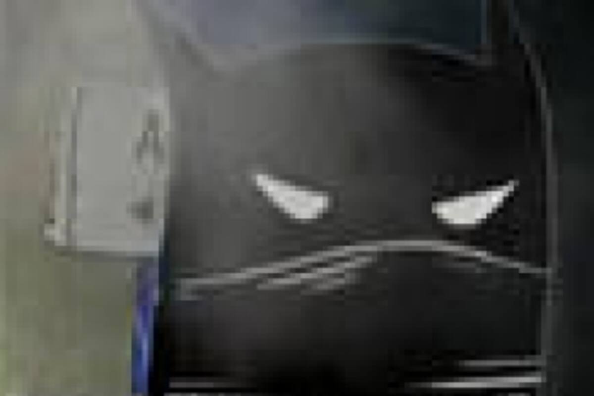 DLC gratuito para Gotham City Impostors