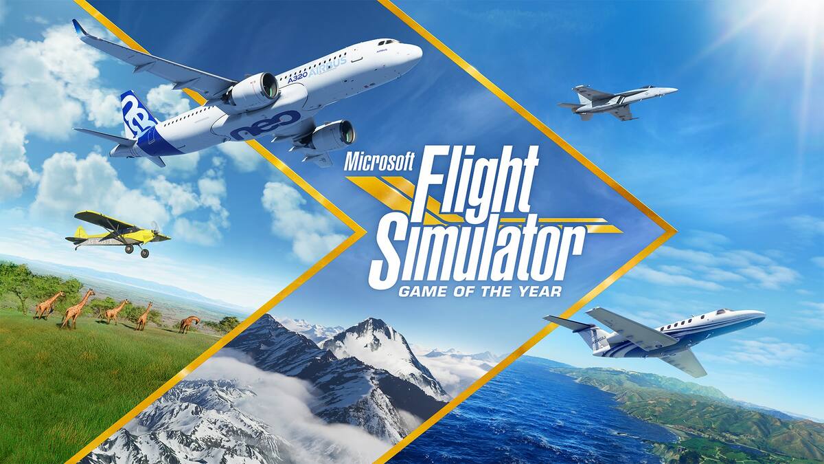 Xbox's CEO thought ''there's no f***ing way'' when he saw the sim for the first time