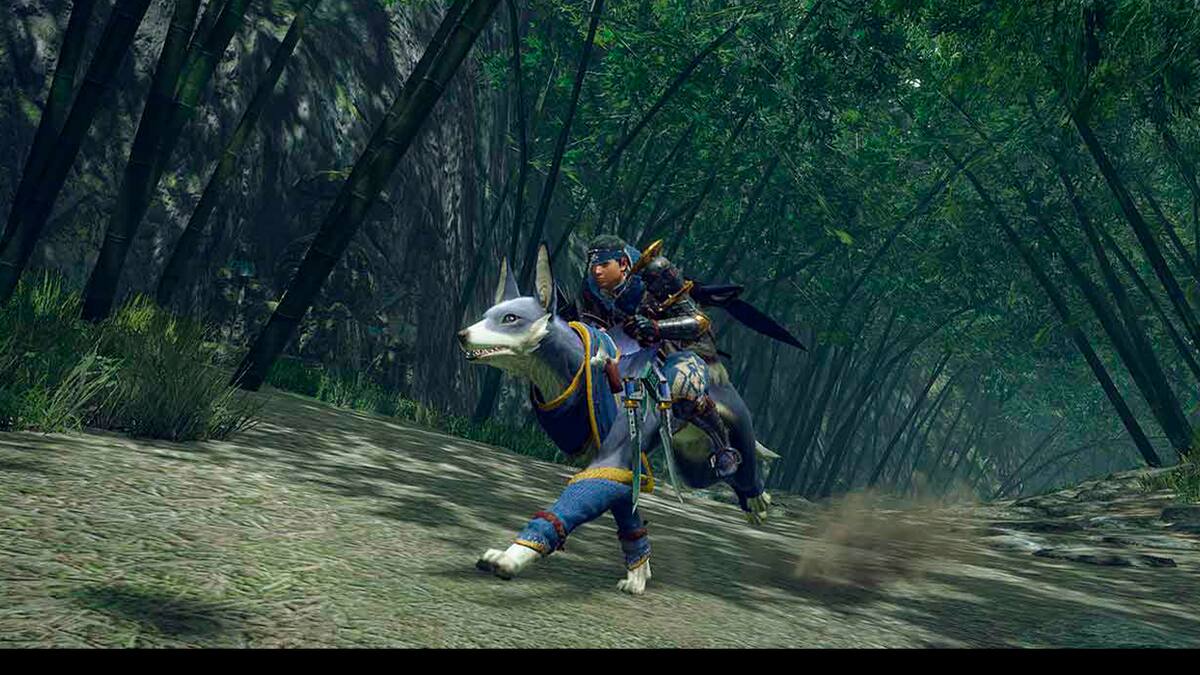 Ya conocemos la calificación que ha recibido esta nueva versión del juego de Capcom