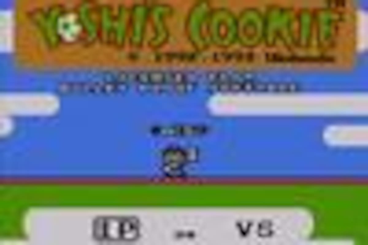 Yoshi's Cookie