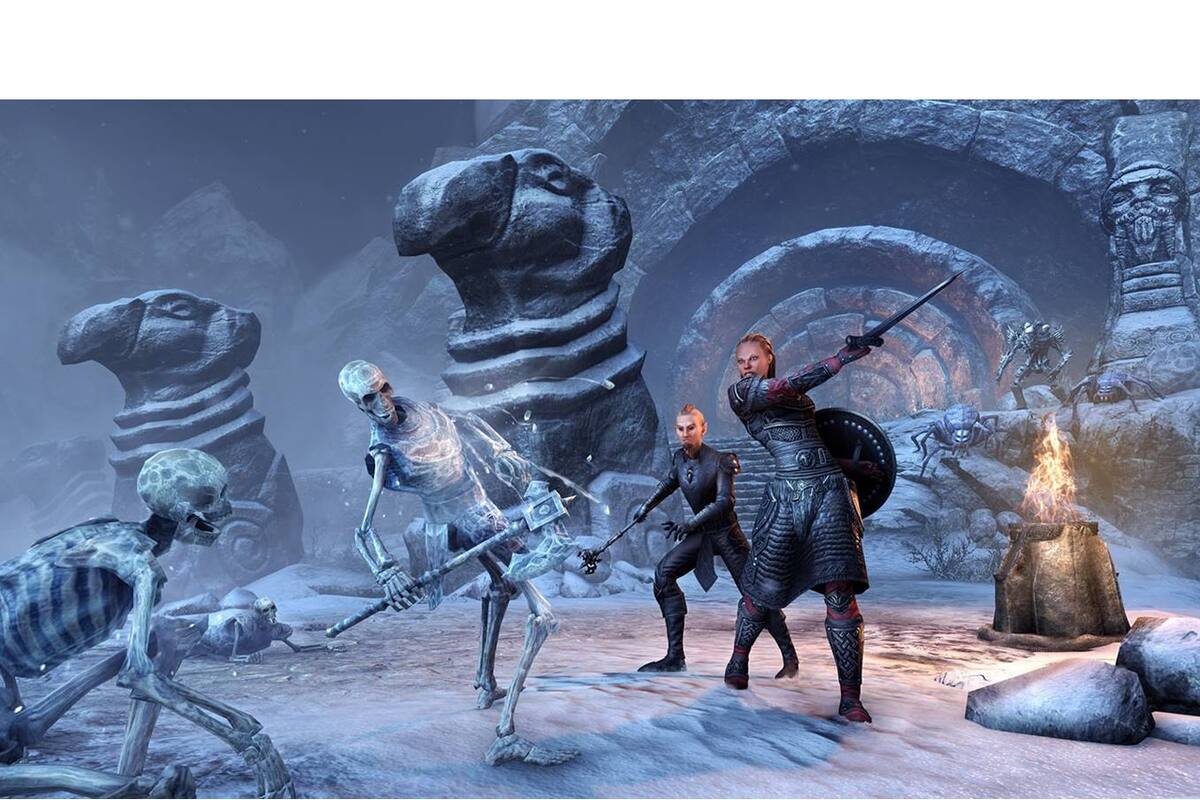 Estudio de The Elder Scrolls Online ya prepara una nueva IP AAA